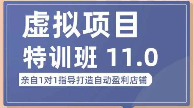 虚拟项目特训班（10.0+11.0），0成本获取虚拟素材，0基础打造自动盈利店铺