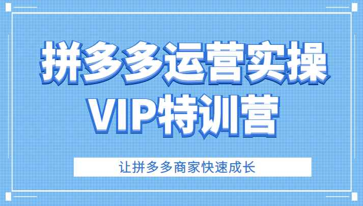 拼多多运营实操VIP特训营，让拼多多商家快速成长（价值3180元）