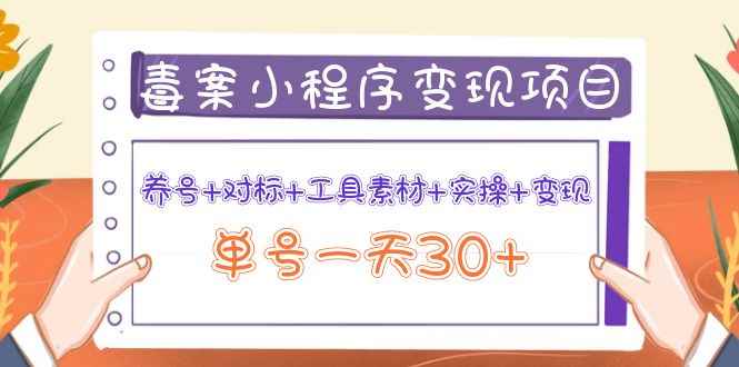 小程序变现项目：养号+对标+工具素材+实操+变现，单号一天30+
