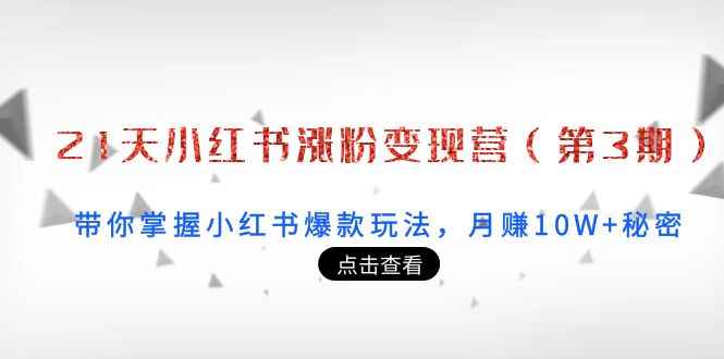 21天小红书涨粉变现营（第3期）：带你掌握小红书爆款玩法，月赚10W+秘密（无水印）