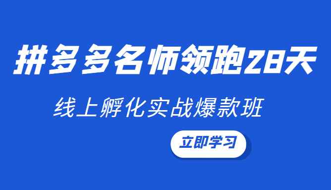 领跑2022-拼多多名师线上领跑28天，线上孵化实战爆款班（第九期）