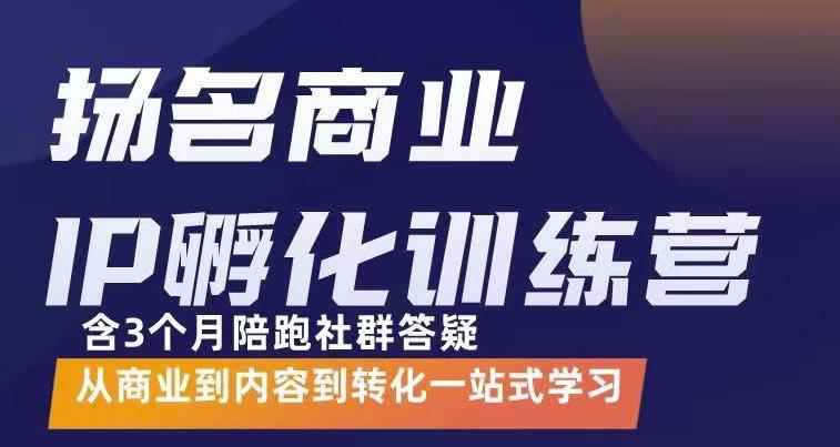 商业IP孵化训练营，从商业到内容到转化一站式学 价值5980元（无水印）