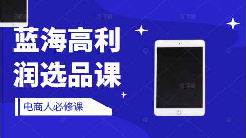 蓝海高利润选品课：你只要能选好一个品，就意味着一年轻松几百万的利润