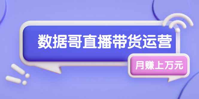 数据哥直播带货运营线上进阶课，让普通人也能靠直播月赚上万元